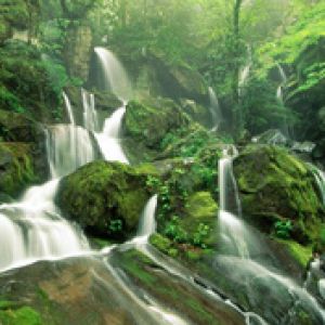 Cliff Branch Falls - Great Smoky - Mountains Natio