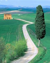 Country Road - Tuscany - Italy