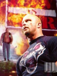Steve Austin