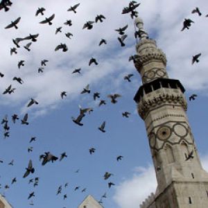 Syria