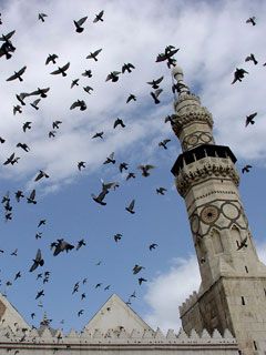Syria