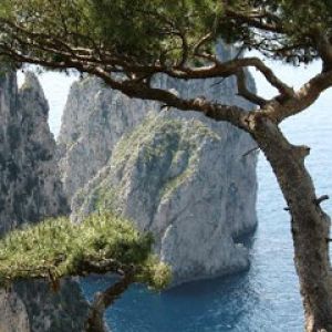 Capri