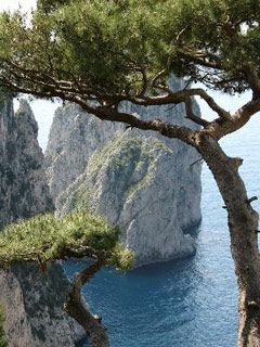 Capri