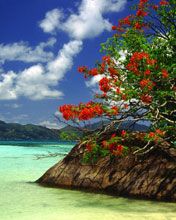 seychelles