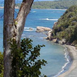 Dominica