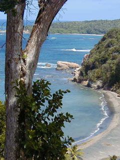 Dominica