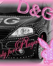D&G