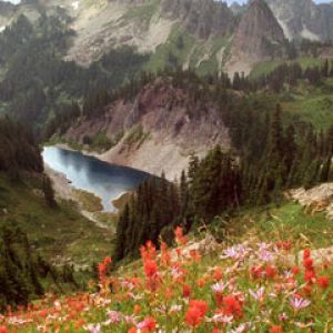 Cliff Lake and the Tatoosh Range Mount Rainier Nat