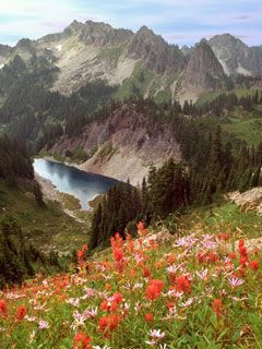 Cliff Lake and the Tatoosh Range Mount Rainier Nat