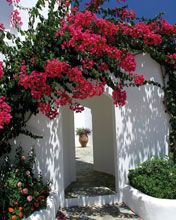 Athen