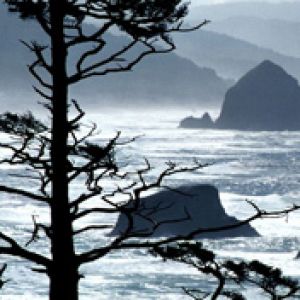 Ecola Point Oregon Coast