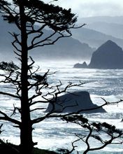 Ecola Point Oregon Coast