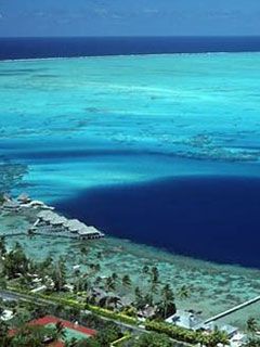 Polynesie