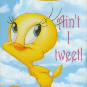 Aint I Tweet!