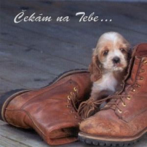 ÄŚekĂˇm na Tebe...