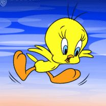 Tweety