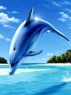 Dolphin