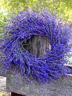 Provence