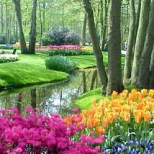 Keukenhof