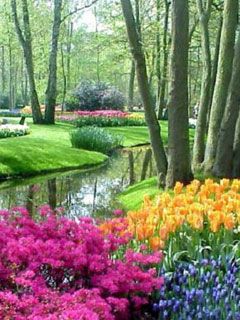 Keukenhof