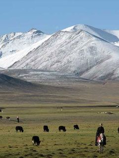 Tibet