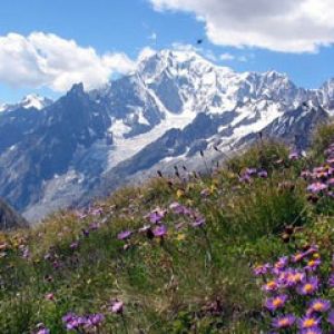 Mont Blanc