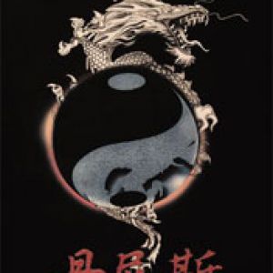 Dragon - Ying-Yang