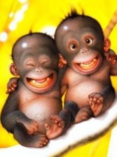 Monkeys