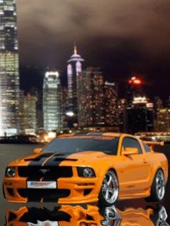 sport mustang