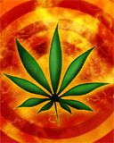 Ganja