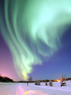aurora