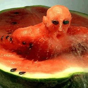 Watermelon