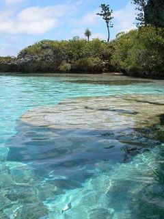 Nouvelle Caledonie