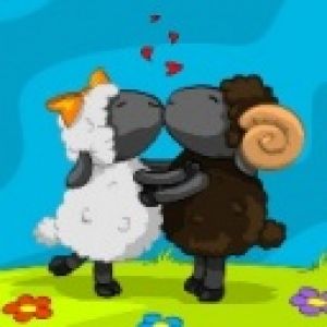 sheep love