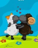 sheep love