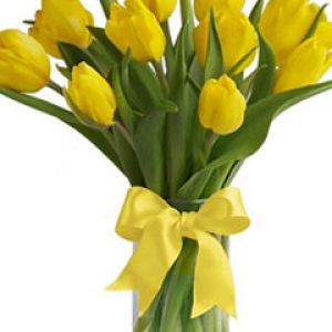 yellow tulips