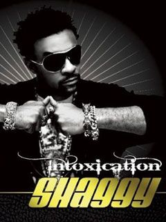 Shaggy - Intoxicaton