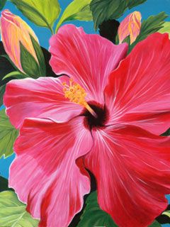 Pink Hibiscus