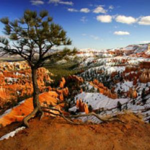Alone on the Rim - Bryce Canyon National Park - Ut