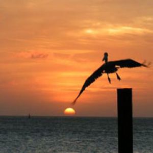 aruba sunset at pinchos