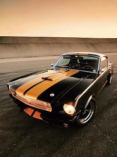 Mustang