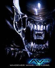 AVP