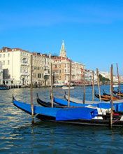 Venezia