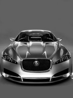 Jaguar