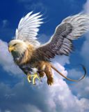 Griff