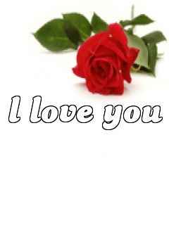 I love you