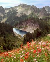 Cliff Lake and the Tatoosh Range - Mount Rainier