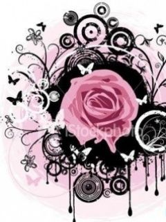 Pink rose