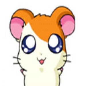 hamtaro