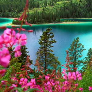 Emerald Lake